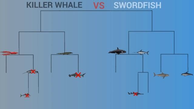 SEA ANIMAL TOURNAMENT - ANIMATION смотреть онлайн