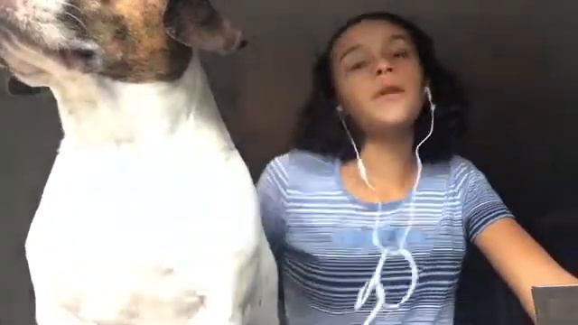 ASMR/apology vidéo with my dog he wanted to be in the video so subscribe смотреть онлайн