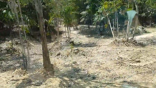 Phu Quoc 2-2016 Vinpearl Safari Close Zoo 2 смотреть онлайн