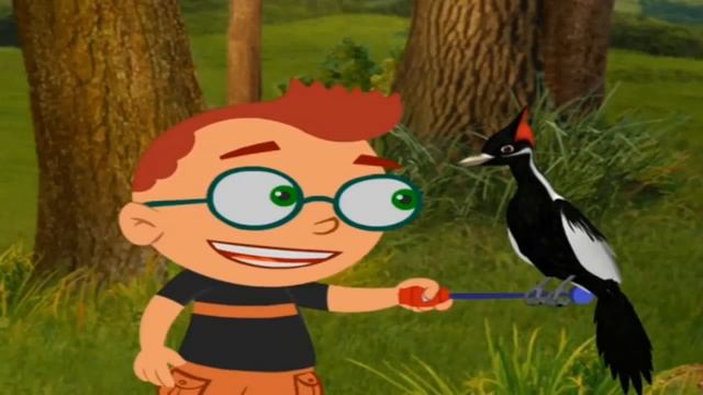 Little Einsteins 1 Hours Non Stop Compilation смотреть онлайн