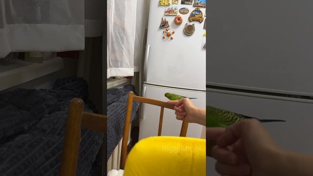 Полёт нормальный 😁 смотреть онлайн