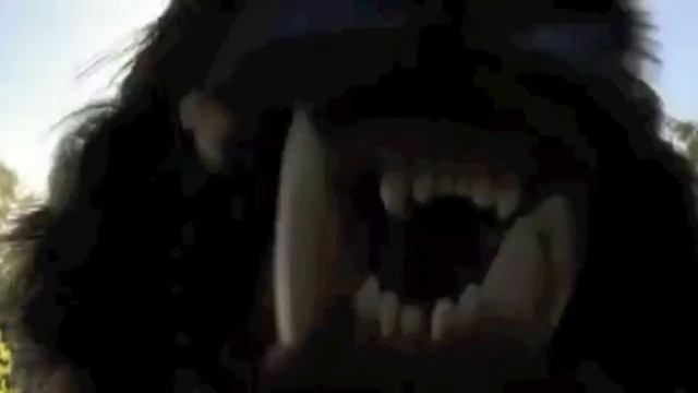 Rise of the Brave Tangled Dragons MV: San Francisco смотреть онлайн