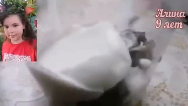 Итоги онлайн - смены лагеря 