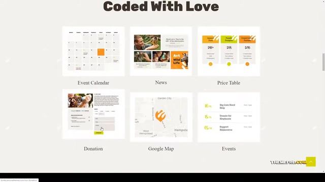 Bonko Safari and Zoo WordPress Theme zoo kids Website Builder смотреть онлайн
