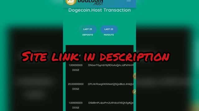 Doge Host Mining, Free Doge Minning Using Termux 100% Legit Must Watch