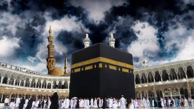 Xurshid Domla UMRA VA HAJ SAFARIGA BORGAN O'ZBEK YULDUZLARI