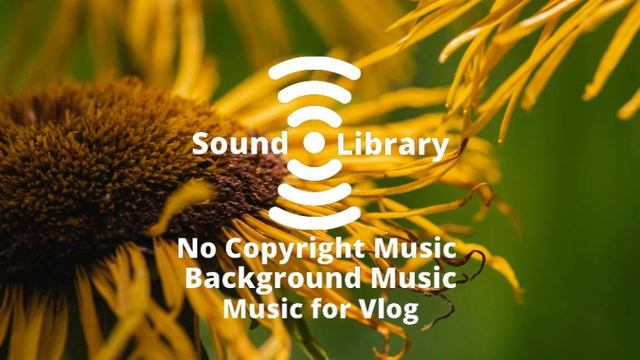 Tobjan - Bonjour (No Copyright Music) смотреть онлайн