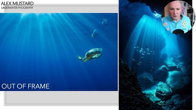 Alex Mustard on Shooting Sunbursts Underwater. Webinar + Q&A from Facebook Live смотреть онлайн