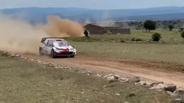 Safari really 🔥🔥 Naivash смотреть онлайн