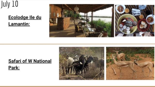 Niger Econ Project- Lauren Reilly смотреть онлайн