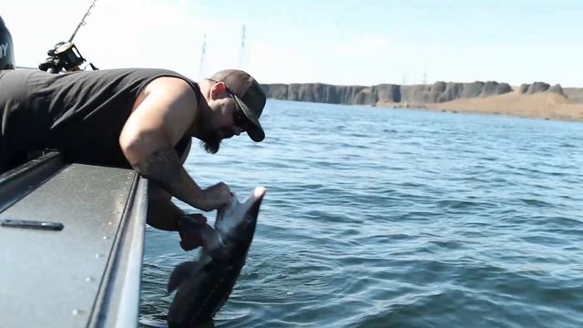 Sturgeon & Walleye fishing | FISH'N THE BRAVE 2021 смотреть онлайн