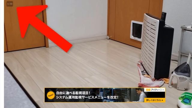 動画の倍速再生ツールVideo Speed Controllerの使い方(再生速度変更と10秒飛ばし) смотреть онлайн