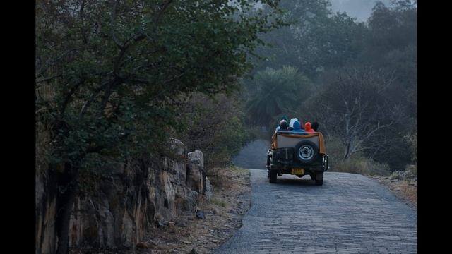 All About Ranthambore National Park Safari . # How to book safari?? смотреть онлайн