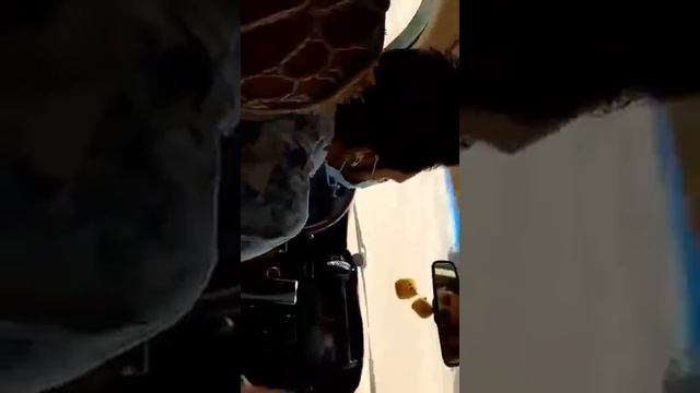 DESERT SAFARI 4X4 Abu Dhabi смотреть онлайн