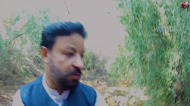 Mehrano A Wildlife Refuge in Khairpur Sindh |Juggle safari Quetta to Khairpur Travel||Episode#4 смотреть онлайн