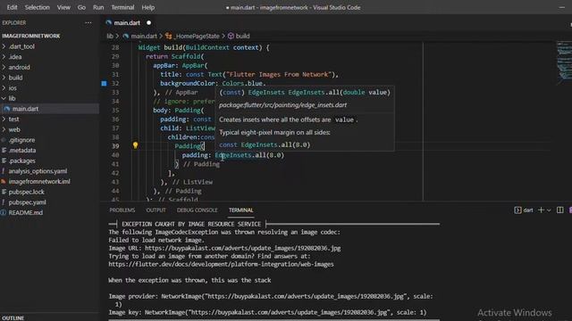 Flutter Mobile Apps - How to add or Display Images from the Network смотреть онлайн