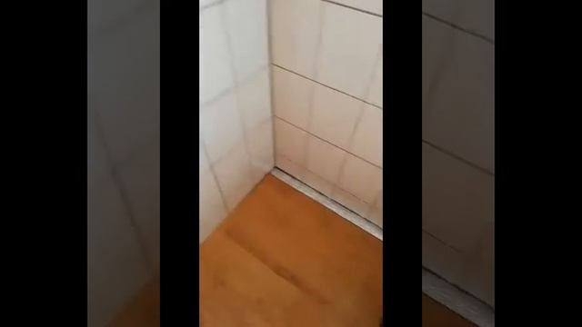 Essens Kitchen Cleaner