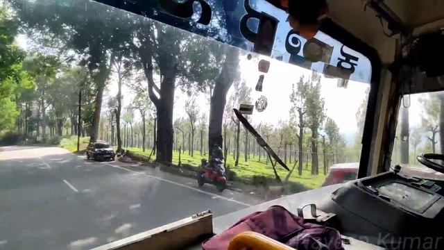 🚌KSRTC FOREST SAFARI TRAVEL FROM OOTY TO MYSORE!!! Mudhumalai 🐘|Bandipur🦌|Tiger Reserve|Naveen Kuma смотреть онлайн