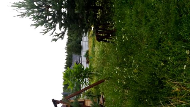 Дома от 900т. рублей! смотреть онлайн