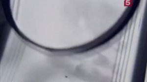 Заставка Сериала "Детективы" с логотипом пятого канала Петербург.