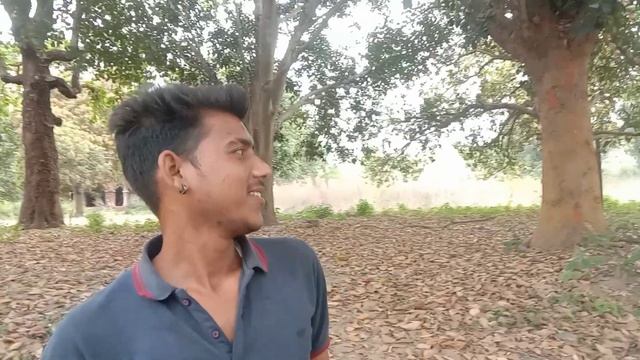 MAN EATER TIGER🐅| Tiger Attack | Bike in Safari | #motovlog #viral #rider #youtube #shortsvideo смотреть онлайн