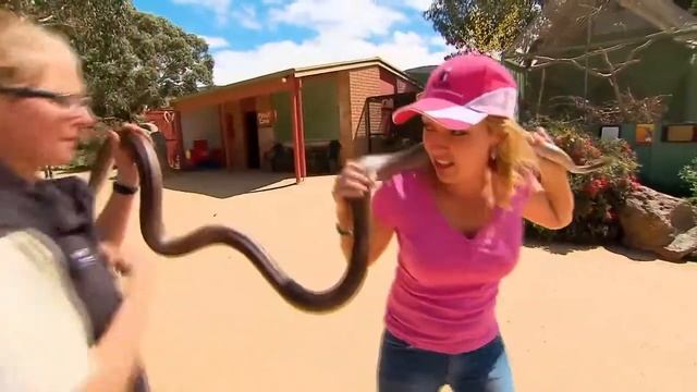 Summer Series Episode 2 - Halls Gap Review - Halls Gap Zoo смотреть онлайн