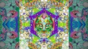 Astrix - He.art (Omiki & Terra Remix)