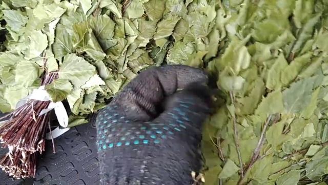 Готов в баню смотреть онлайн