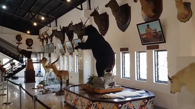 Ilocos Norte - Safari Gallery -Baluarte смотреть онлайн