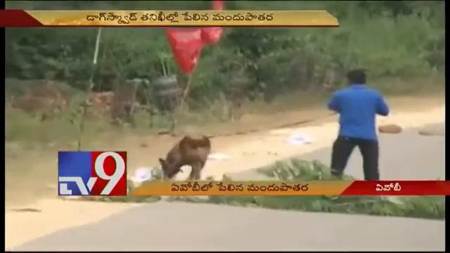 POLICE SNIFFER DOG SAFE LIVES BRAVE смотреть онлайн
