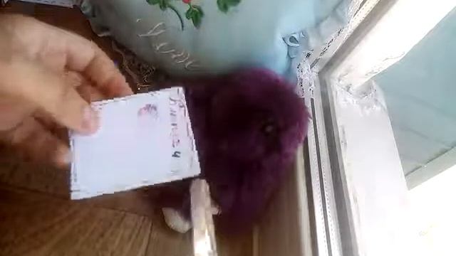 Бумажная пицца распаковка