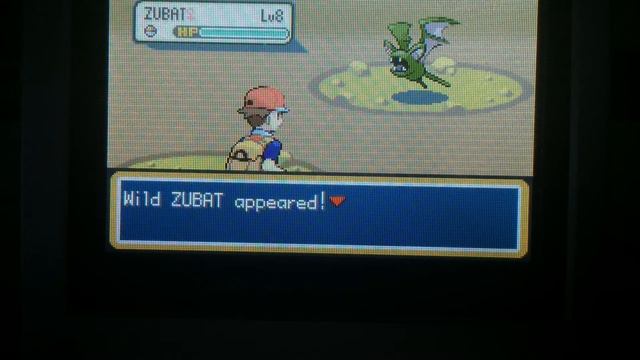 (2in1Day)[LIVE!!!] Shiny Zubat after ONLY 72 RE's in FireRed! смотреть онлайн