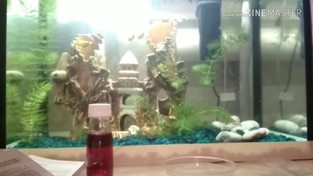 Обзор на кристаллы!Из FixPrice! смотреть онлайн