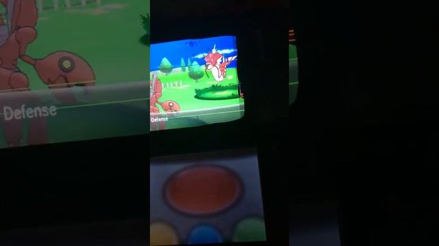 Shiny Gyarados Friend Safari X & Y 181 encounters смотреть онлайн