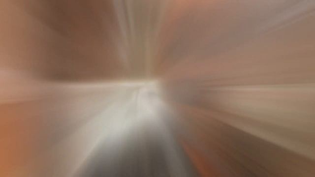 Les Coulisses De L'Opéra De Lille Avant La Vente Aux Enchères Du Secours Populaire