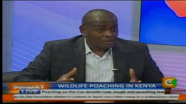 Sunday Live Interview: Wildlife Poaching in Kenya Part 2 смотреть онлайн