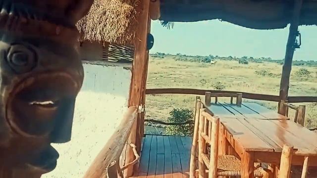 Kazinga Wilderness Road Trip смотреть онлайн