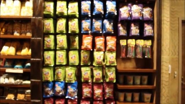Resort Review: Disney's Animal Kingdom Lodge! (Part One) смотреть онлайн