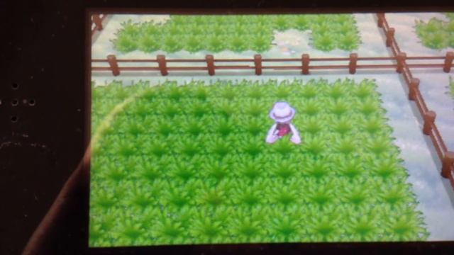 Shiny Drifblim Appear In Friend Safari Pokemon Y смотреть онлайн