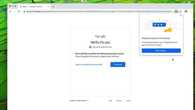 Sync Google Chrome 2020 смотреть онлайн