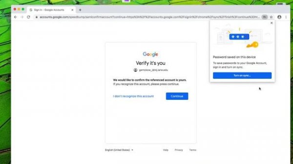 Sync Google Chrome 2020