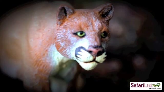 Exciting look at Wild Safari® Mountain Lion смотреть онлайн