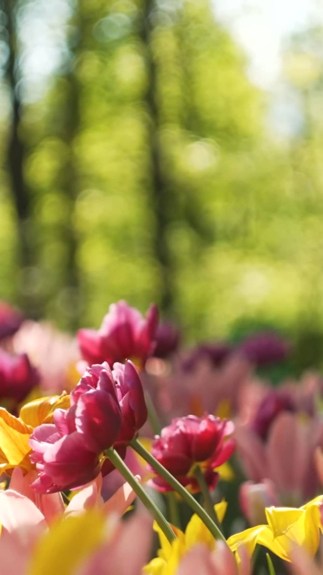 Если вы устали, место, что бы залипнуть и отдохнуть, лучше чем это, надо ещё поискать!