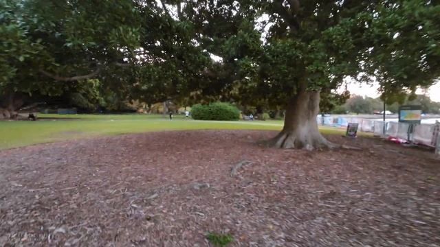 Sydney 🇦🇺 SUNSET Walk Botanic Gardens to Opera House | 4K POV Virtual Walk | 3D City Sounds смотреть онлайн