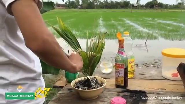 Пищевая искусство пищевые приключения Традиционная пища натуральные пищевые продукты удивительные б