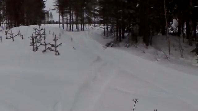 Lynx Cobra hyppy.mp4 смотреть онлайн