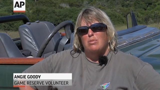 Rhino Poaching Shocks South African Reserve смотреть онлайн