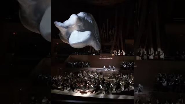 The most beautiful video and the most beautiful opera song смотреть онлайн