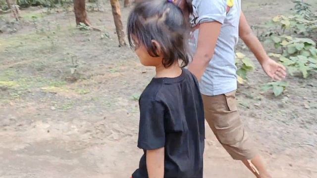 Bagda Beach | Sea Safari Beach Camp.Bagda | Tree Hose смотреть онлайн