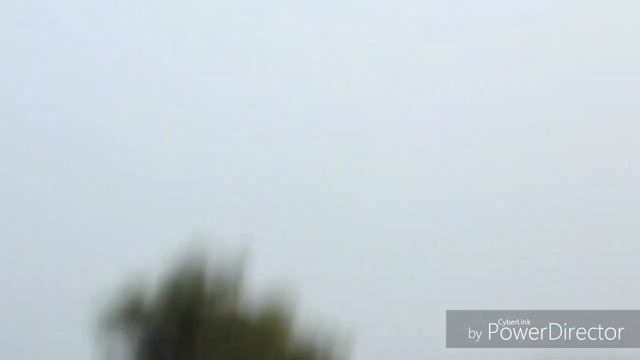 We are brave team , lucky rescue & water sports смотреть онлайн